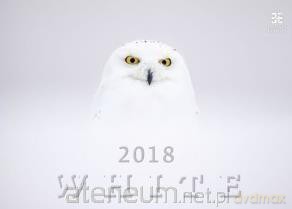 Kalendarz 2018 White EX [KALENDARZ]