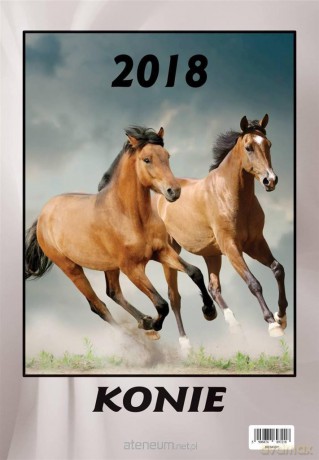 Kalendarz 2018 Wieloplanszowy Konie [KALENDARZ]