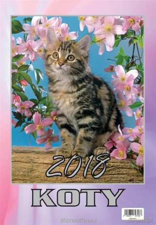 Kalendarz 2018 Wieloplanszowy Koty [KALENDARZ]