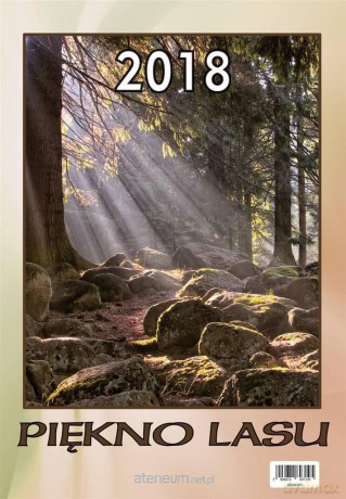 Kalendarz 2018 Wieloplanszowy Piękno lasu [KALENDARZ]