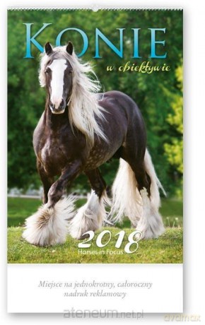 Kalendarz reklamowy 2018 - Konie w obiektywie RW29 [KALENDARZ]
