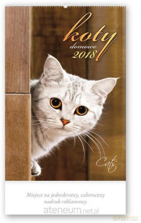 Kalendarz reklamowy 2018 - Koty domowe RW31 [KALENDARZ]