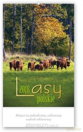 Kalendarz reklamowy 2018 - Lasy polskie RW4 [KALENDARZ]