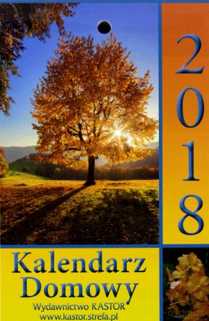 Kalendarz zdzierak 2018 - Kalendarz Domowy KL4 [KALENDARZ]