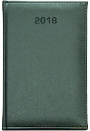 Książkowy A5 dzienny 2018 - Nebraska srebrny [KALENDARZ]