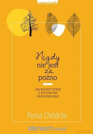 Nigdy nie jest za późno - Pema Chodron [KSIĄŻKA]