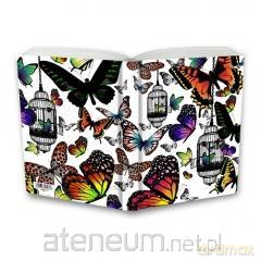Notes Gee Butterfly 10x14