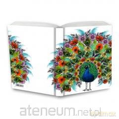 Notes Gee Peacock 10x14