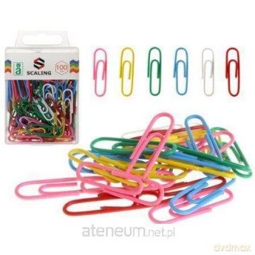 Spinacze kolorowe w plastikowym pudełku