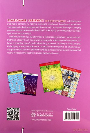Zwariowane labirynty nie tylko dla dzieci - Katarzyna Szłapa, Iwona Tomasik, Sławomir Wrzesiński [KSIĄŻKA]