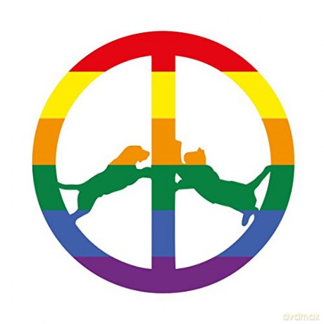 Hype Williams: Rainbow Edition [CD]
