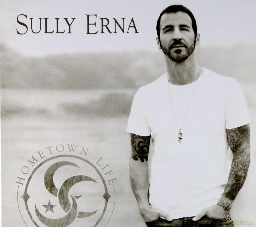 Sully Erna: Hometown Life [CD]