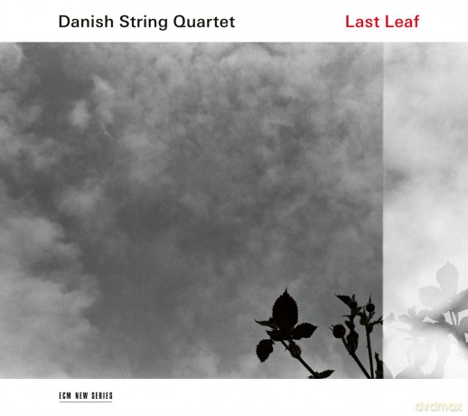 Danish String Quartet: Last Leaf [CD]