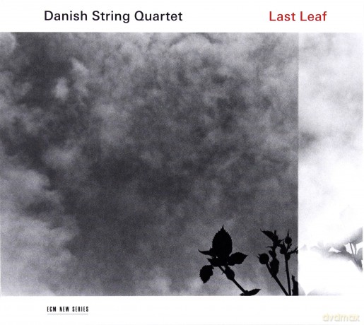 Danish String Quartet: Last Leaf [CD]