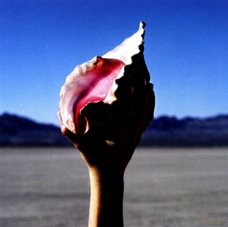 Killers: Wonderful Wonderful (PL) [CD]
