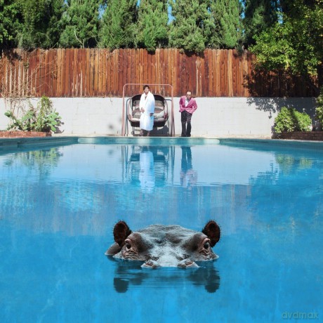 Sparks: Hippopotamus [Winyl]
