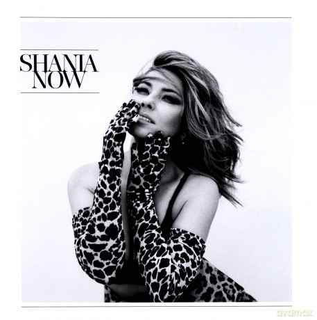 Shania Twain: Now [CD]