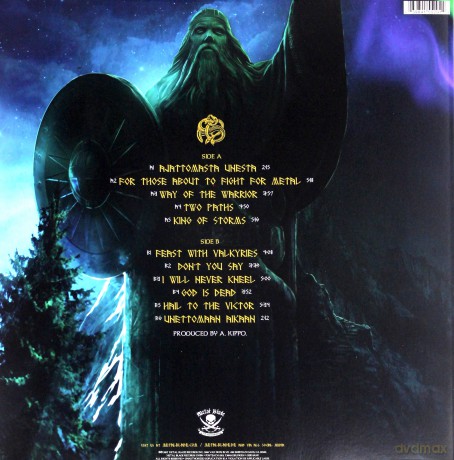 Ensiferum: Two Paths [Winyl]