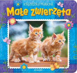 Małe zwierzęta. Książeczka malucha [KSIĄŻKA]