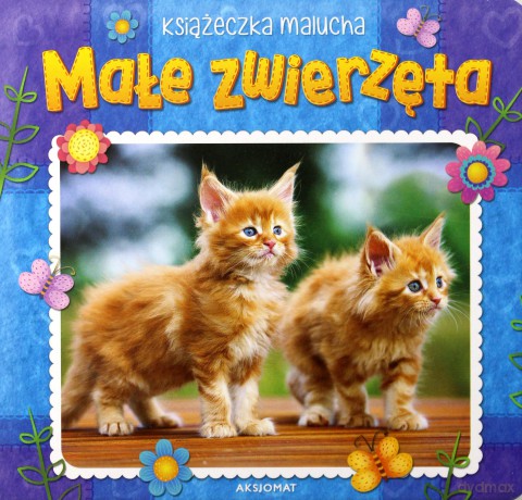 Małe zwierzęta. Książeczka malucha [KSIĄŻKA]