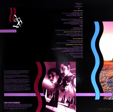 Pink Floyd: A Collection Of Great Dance Songs [Winyl]