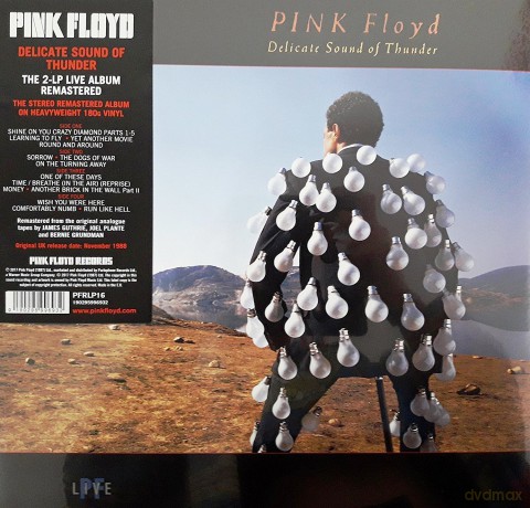 Pink Floyd: Delicate Sound Of Thunder [2xWinyl]