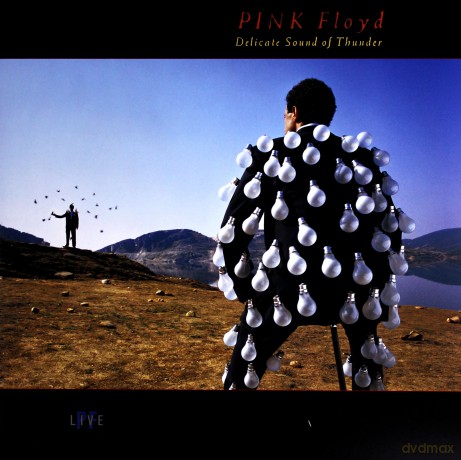Pink Floyd: Delicate Sound Of Thunder [2xWinyl]