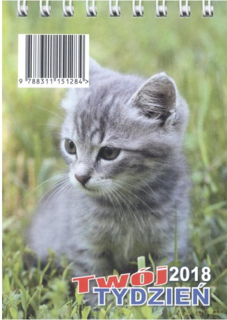 Kalendarz 2018 twój tydzień b7 [KALENDARZ]