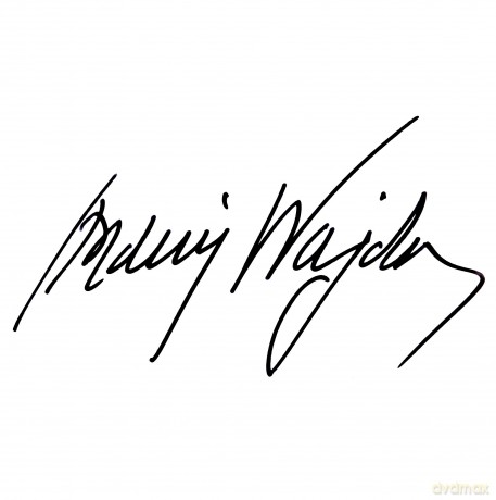 Andrzej Wajda: Antologia Filmowa (Wydanie Kolekcjonerskie) [BOX] [36DVD]