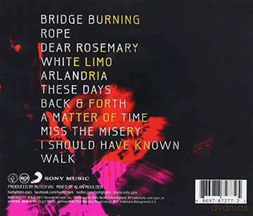 Foo Fighters: Wasting Light [CD]