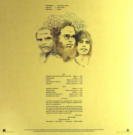 ZZ Top: ZZ Top's First Album [Winyl]