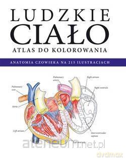 Atlas do kolorowania. Ludzkie ciało [KSIĄŻKA]