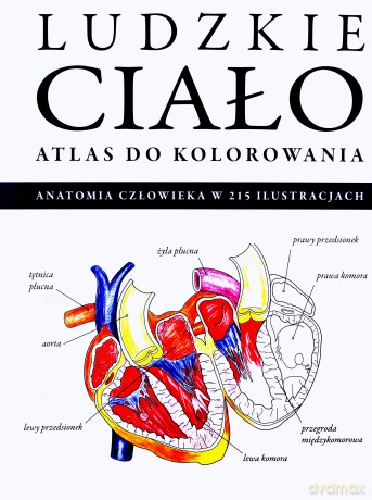 Atlas do kolorowania. Ludzkie ciało [KSIĄŻKA]