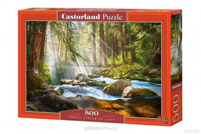 CASTOR 500 el.Forest Stream of Light [PUZZLE]