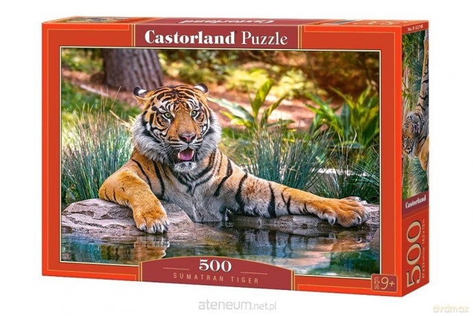 CASTOR 500 el.Tygrys sumatrzański [PUZZLE]