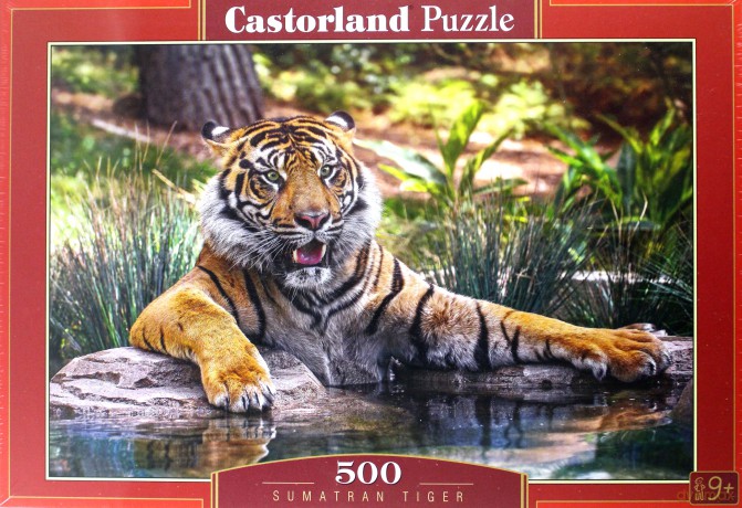 CASTOR 500 el.Tygrys sumatrzański [PUZZLE]