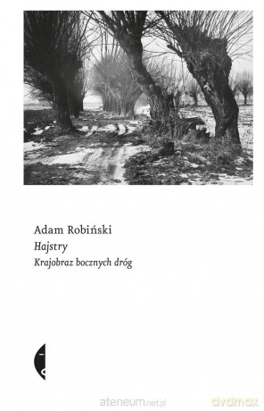 Hajstry. Krajobraz bocznych dróg - Adam Robiński [KSIĄŻKA]
