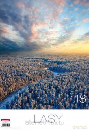 Kalendarz 2018 13 PL 290x420 Lasy [KALENDARZ]