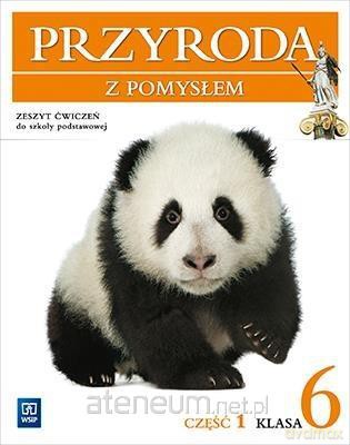 Przyroda Szkoła podstawowa 6/1 z pomysłem ćwiczenie [KSIĄŻKA]
