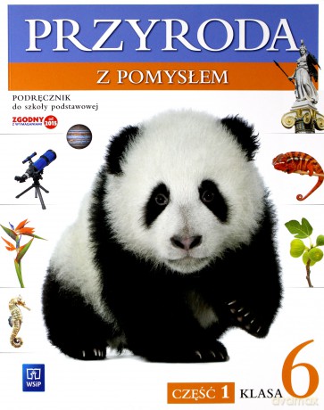 Przyroda Szkoła podstawowa 6/1 z pomysłem Podręcznik [KSIĄŻKA]