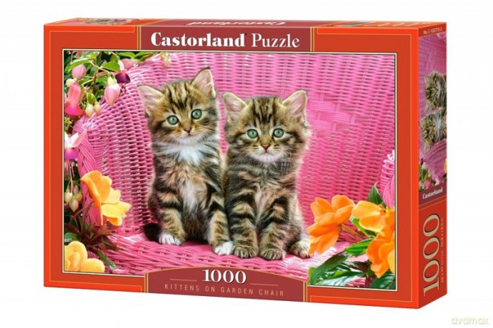 CASTOR 1000 el. Kotki na krześle [PUZZLE]