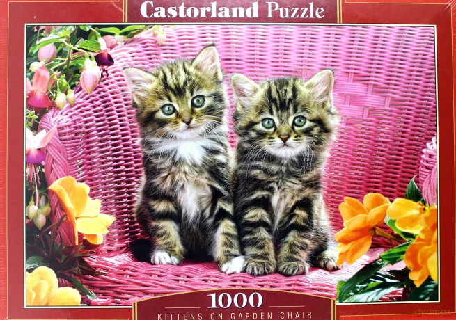 CASTOR 1000 el. Kotki na krześle [PUZZLE]