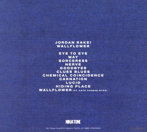 Jordan Rakei: Wallflower [CD]