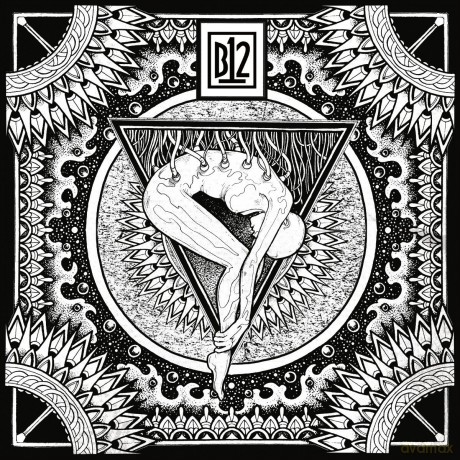 B12: Electro - Soma II [2xWinyl]