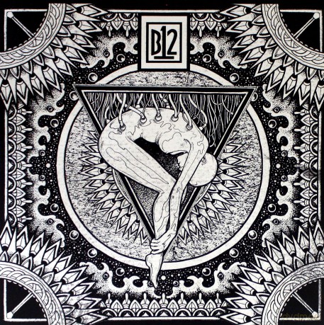 B12: Electro - Soma II [2xWinyl]