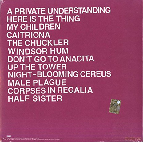 Protomartyr: Relatives In Descent (Blue) [Winyl]