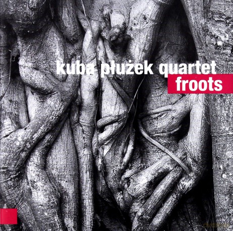 Kuba Pluzek Quartet: Froots [CD]