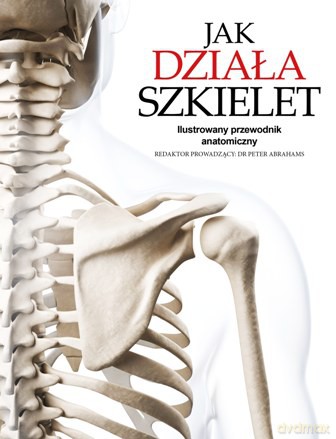 Jak działa szkielet. Ilustrowany przewodnik anatomiczny - Peter Abrahams [KSIĄŻKA]