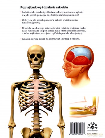 Jak działa szkielet. Ilustrowany przewodnik anatomiczny - Peter Abrahams [KSIĄŻKA]
