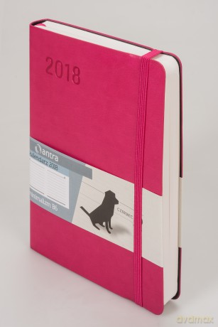 Kalendarz 2018 minimalizm B6 malina [KALENDARZ]